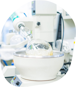 育毛剤の研究開発を行う様子